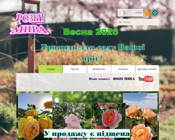 Питомник роз - Розы Мира