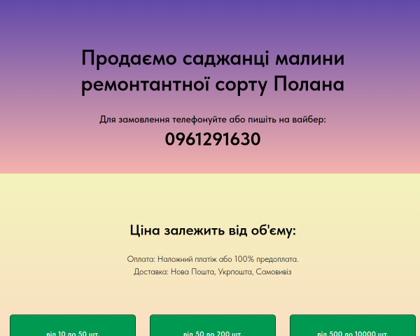 Садженці малини ремонтантної
