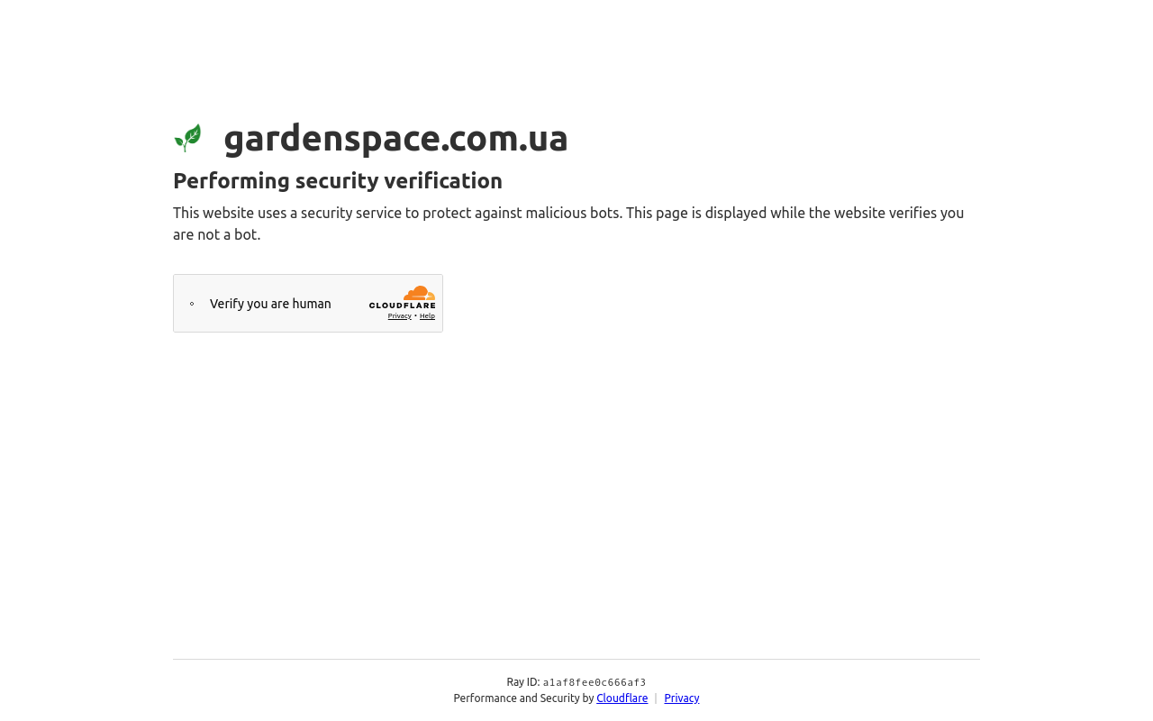 Garden Space